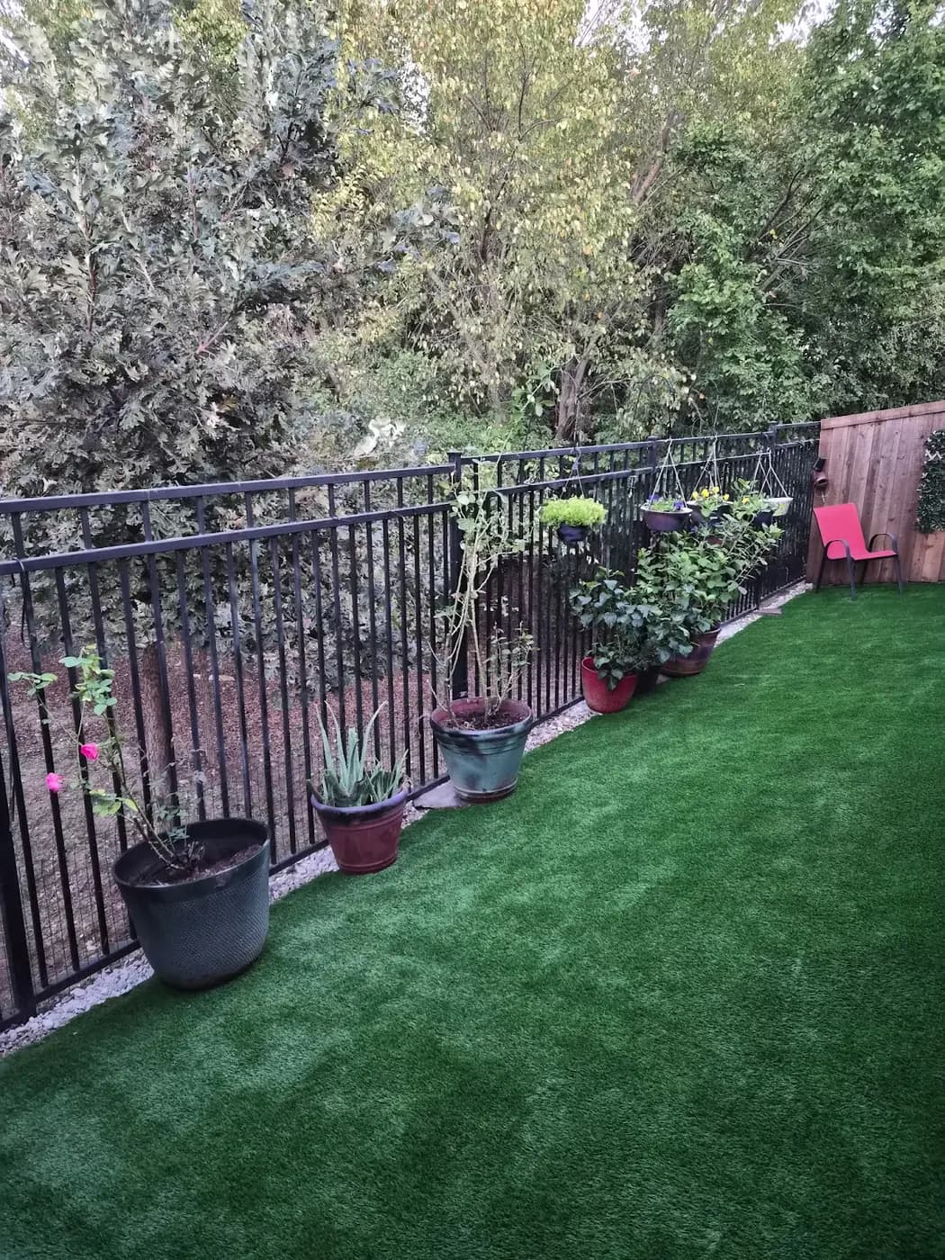 Finished landscape turf installation by DFW Turf Pros 9